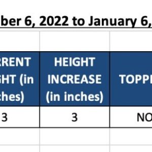 WIN23-420 Bruce Banner (Babs) Update for Dec 6, 2022 to Jan 6, 2023.jpg