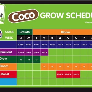 plant-magic-coco-schedule.jpg