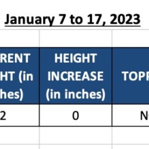 WIN23-Raspberry Cough (Roxy) - 420 Update for Jan 8 to 17, 2023.jpg