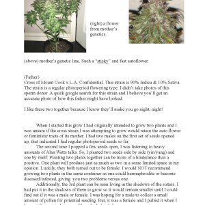 RedTejas' YinYang Grow Journal - 2023_Page_2.jpg