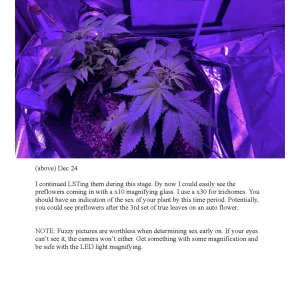 RedTejas' YinYang Grow Journal - 2023_Page_6.jpg