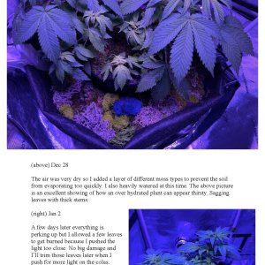 RedTejas' YinYang Grow Journal - 2023_Page_7.jpg