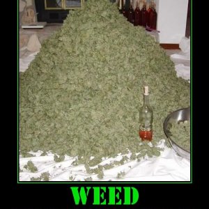 wonderfulweed-cannabis-marijuana-thc-thcfinder.jpg