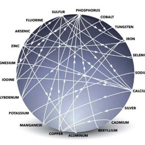 mulders-chart-positive-negative-plant-nutrient-interactions_2w.jpg