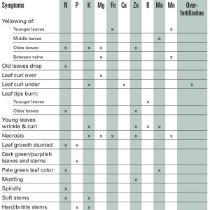 Ed_Rosenthal_Nutrients_chart.jpg