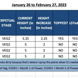 VEG2 - January 26 to February 27, 2023.jpg