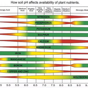 soil-ph-nutrient-chart.jpg