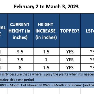 FLOW1 - February 2 to March 3, 2023.jpg