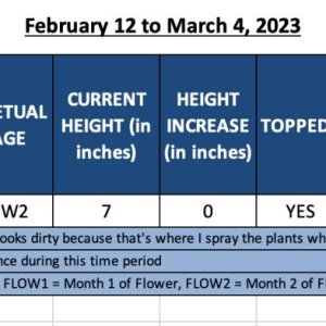 420 Update - Fruit Punch - February 12 to March 4, 2023.jpg