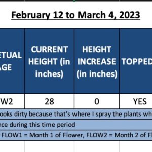 420 Update - Jack Herer1 - February 12 to March 4, 2023.jpg