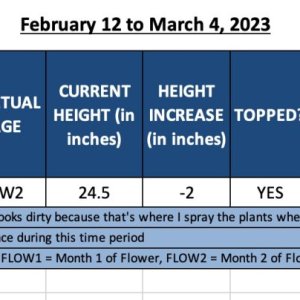 420 Update - Jack Herer2 - February 12 to March 4, 2023.jpg