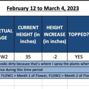 420 Update - Jack Herer2 - February 12 to March 4, 2023.jpg