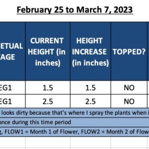 VEG1 - February 25 to March 7, 2023.jpg