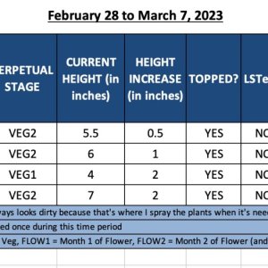 VEG2-February 25 to March 7, 2023.jpg