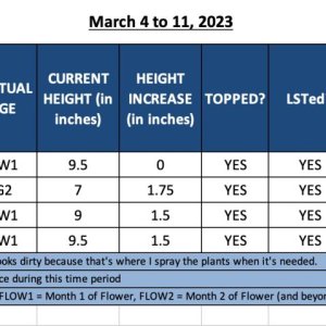 FLOW1 - March 4 to 11, 2023.jpg