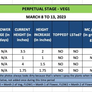 VEG1 - March 8 to 13, 2023.jpg