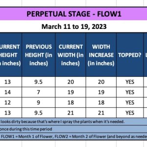 FLOW1 - March 11 to 19, 2023.jpg