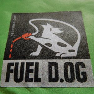 Fuel D.OG logo.JPG