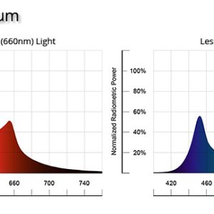 owcraft-Vegetative-and-Flowering-spectrum-compared.jpg