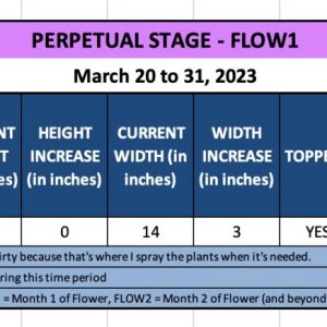 FLOW1 (Suzy) - March 20 to 31, 2023.jpg