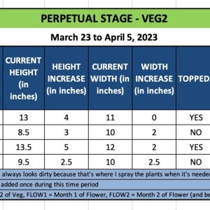 VEG2 - March 23 to April 5, 2023.jpg