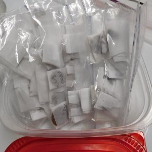 Rosin freezer tupperware.JPG