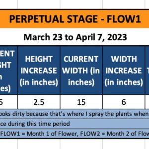 FLOW1 - Chrissy - March 23 to April 7, 2023.jpg