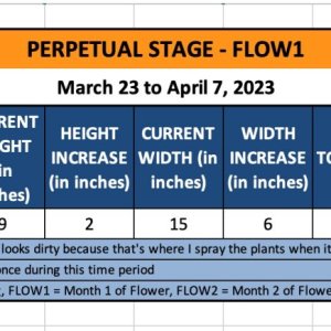 FLOW1 - Mel - March 23 to April 7, 2023.jpg