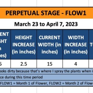 FLOW1 - Petra - March 23 to April 7, 2023.jpg