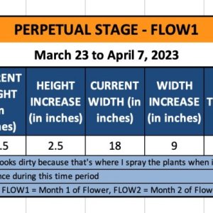 FLOW1 - Zoe - March 23 to April 7, 2023.jpg