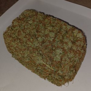 DoSiDoPlant2_158grams.jpg