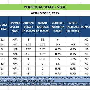 VEG1 - April 3 to 13, 2023.jpg