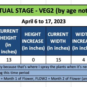 VEG2 (CLEM)-April 6 to 17, 2023.jpg