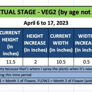 VEG2 (PIPPA)-April 6 to 17, 2023.jpg