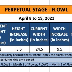 FLOW1 - Chrissy - April 8 to 19, 2023.jpg