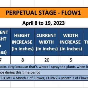 FLOW1 - Mel - April 8 to 19, 2023.jpg