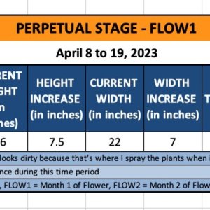 FLOW1 - Petra - April 8 to 19, 2023.jpg