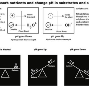 pH Change in Res.png