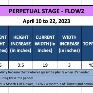 FLOW2 - Candy - April 10 to 22, 2023.jpg