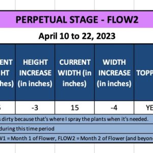 FLOW2 - Suzy - April 10 to 22, 2023.jpg