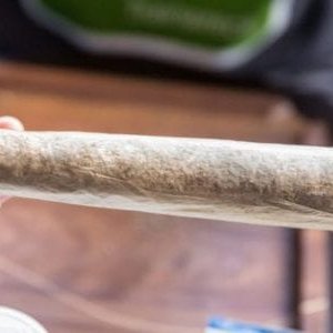 giant-joint-800x300.jpg