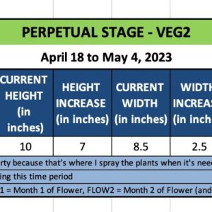 VEG2 (CASSIE) - April 18 to May 4, 2023.jpg