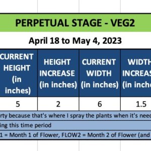 VEG2 (DUMI) - April 18 to May 4, 2023.jpg