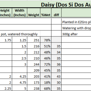 Daisy Tracker 20230504.png