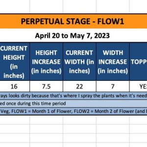 FLOW1 (Petra) - April 20 to May 7, 2023.jpg