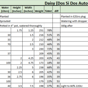 Daisy Tracker 20230508.png