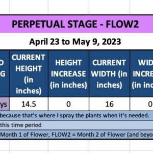 FLOW2-Babs-April 23 to May 9, 2023.jpg