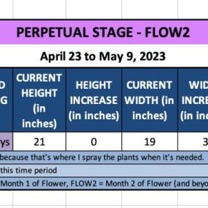 FLOW2-Candy-April 23 to May 9, 2023.jpg