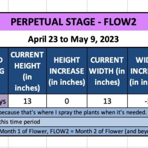 FLOW2-Roxy-April 23 to May 9, 2023.jpg