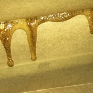 PSK rosin 5-16-23.JPG